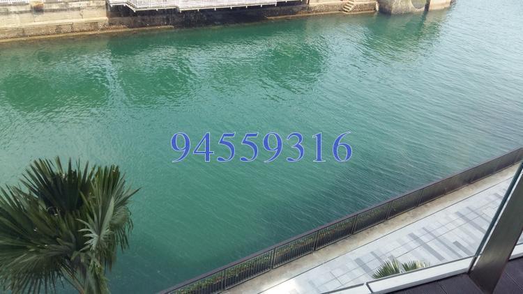 Corals At Keppel Bay (D4), Condominium #127289812